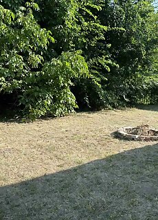 Mi Casa Soleda Apartman Balatonszemes