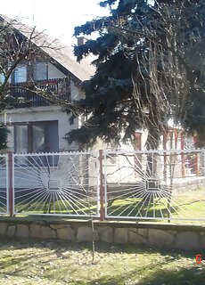 Ezustfenyo Apartman Balatonszeplak