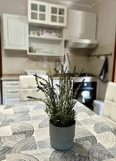Bringa Berek Apartman Berekfürdő