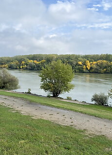 Nyugalom Szigete A Dunanal Apartman Budapest