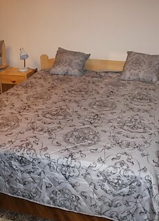 3 Vizilo Apartman Budapest