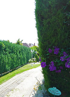 Apartman Brigitte*** Bükfürdő Bük