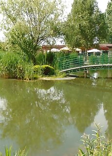 Venusz Apartman Cserkeszolo
