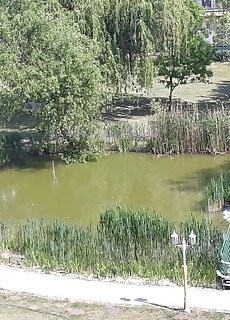 Ilcsi Apartman Cserkeszolo