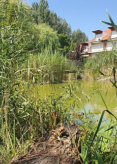 Cserke Thermal Apartman Cserkeszolo