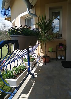 Mariann Apartman Cserszegtomaj