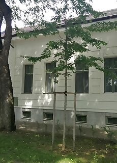 M37 Apartman Debrecen