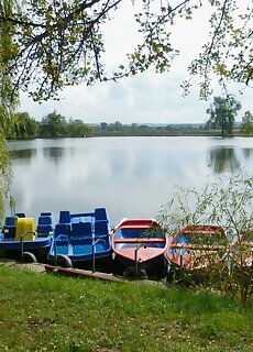 Kissler Apartman Dombovar