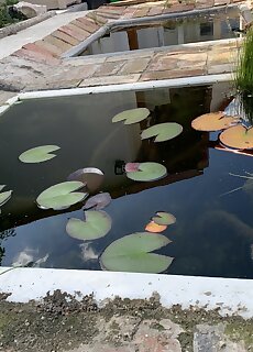 Viki Apartmanhaz Dorog