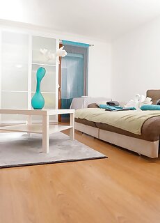 Palatinus Lake Apartman Dorog