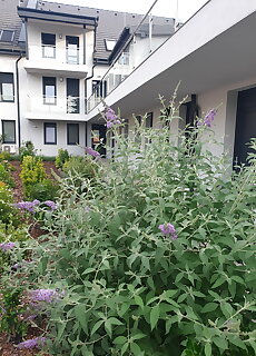 Silver Lodge Apartman Eger