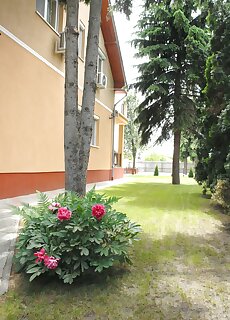 Rege Apartman Eger