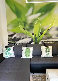 Zen Apartman Eger