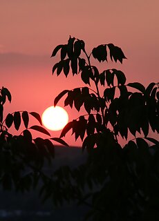 Szent Ivan Apartman Eger