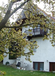 Nefelejcs Apartman Fertohomok