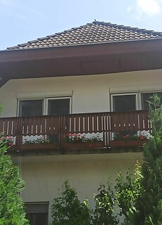 Dani Apartman Fonyod
