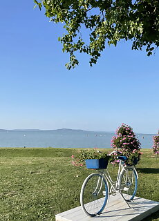 Edisonvilla213 Apartman Fonyod