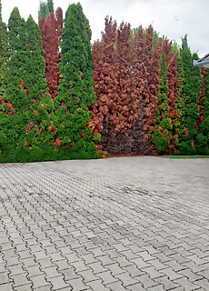 Feher Haz Apartman Gyenesdias