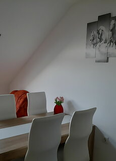 Dominik Apartman Gyenesdias