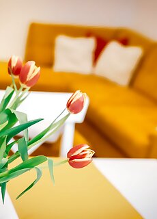 Cozy Apartman Gyor