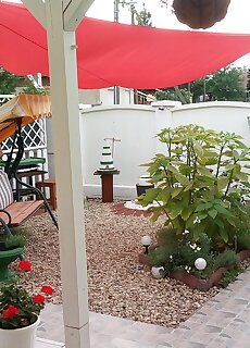 Zold Sziget Apartman Gyula