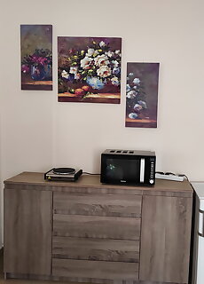 Rad Var Apartman Gyula