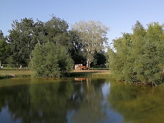 Viktoria Lovas Panzio Gyor szállás