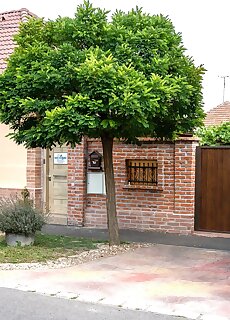 Holiday Apartmanhaz Gyula
