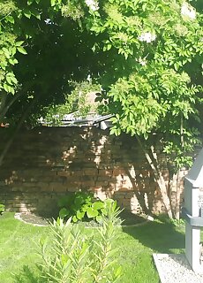 Pacsirta Apartman Gyula