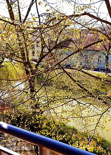 Belvarosi Tunder Apartman Gyula