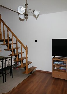 Borka Apartman Gyula