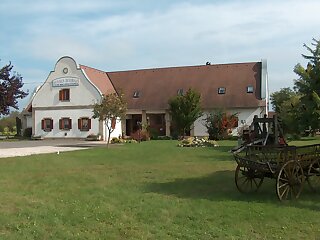 Borhaz Panzio Hajos Pincefalu szállás