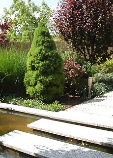 Garden Room Apartman Gyula
