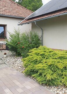 Erzsebet Apartman Gyula