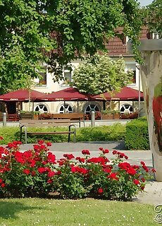Mosoly Deluxe Apartman Gyula