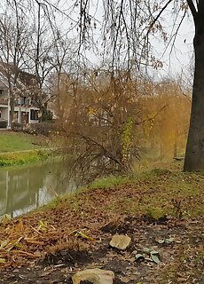 Hori Apartman Gyula