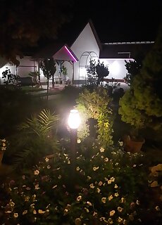 Alom Apartman Gyula