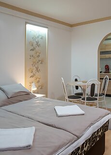 Rozsika Apartman Hajdunanas