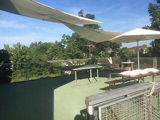 Harsfa Apartman Balatonlelle szállás