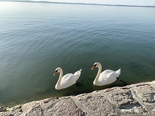 Baladise Apartman Balatonvilagos szállás