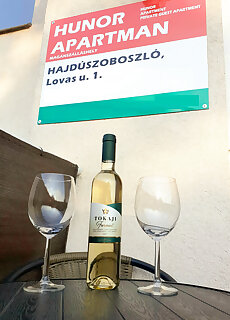 Hunor Apartman Hajduszoboszlo