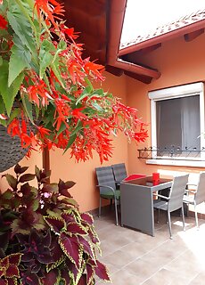 Ozon Apartman Hajduszoboszlo
