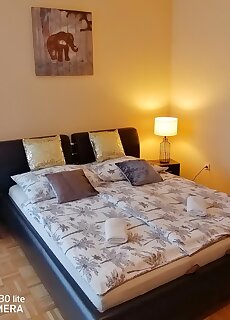 Zold Beka Hoforras Apartman Hajduszoboszlo