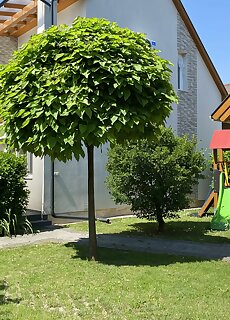 Magyar Apartman Iii. Hajduszoboszlo