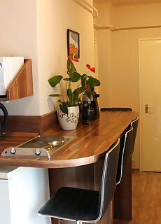 Xenia D Apartman Hajduszoboszlo