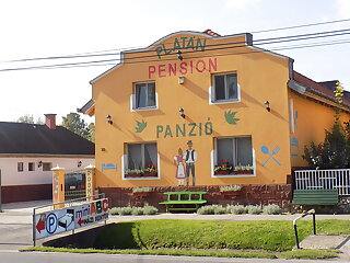 Platan Panzio Nyul szállás