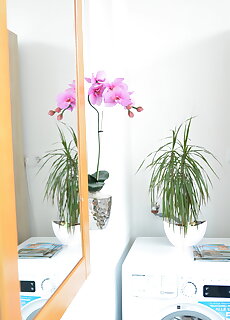 Neuhercz Apartmanok Halaszi