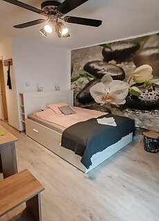 Orchidea Apartman Harkany