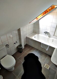 Alea Apartmanok Harkany