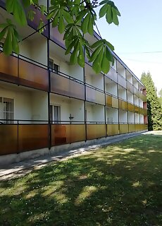 Daniel Apartman Harkany